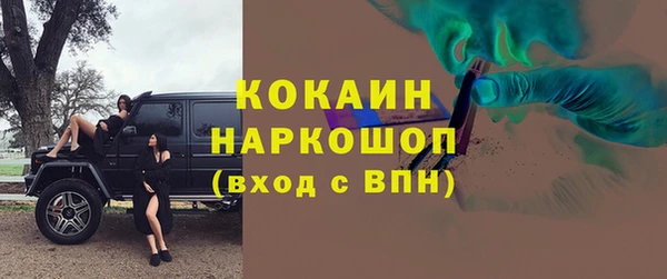 PSILOCYBIN Белокуриха