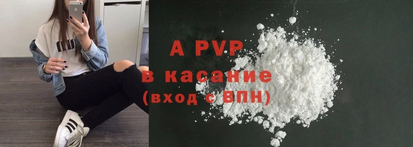 PSILOCYBIN Белокуриха