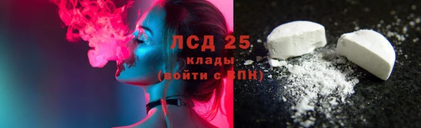PSILOCYBIN Белокуриха