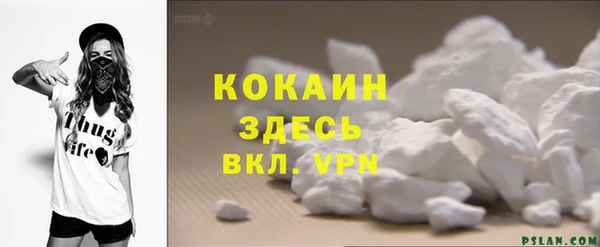 PSILOCYBIN Белокуриха