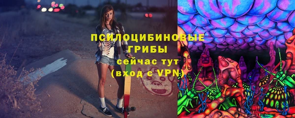 PSILOCYBIN Белокуриха